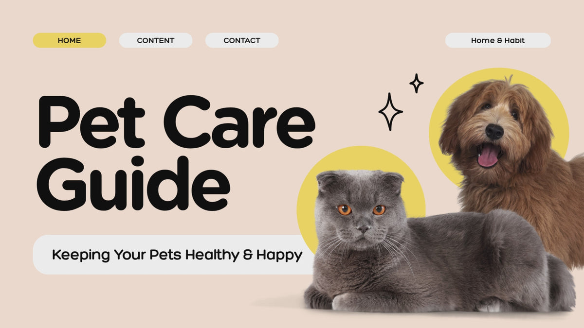 The Complete Pet Training Guide-Beginner to Expert